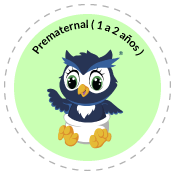 Prematernal ( 1 a 2 años ) 